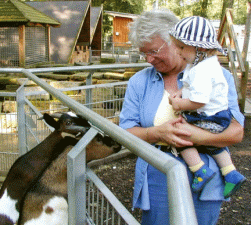 zeigt zwei Ziegen im Gehege die von einem Mann mit Kleinkind auf dem Arm beobachtet werden